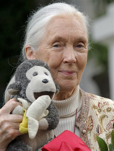 Jane Goodall